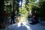 M_GettingtheTree3.jpg (160638 bytes)