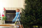 xmastree1.jpg (34127 bytes)